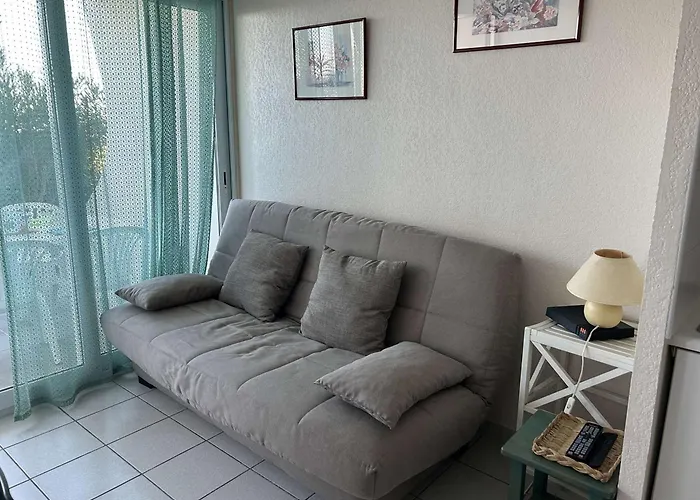 Διαμέρισμα Port Camargue, T2 Climatise, Terrasse, Parking, Animaux Admis - Fr-1-250-219 *