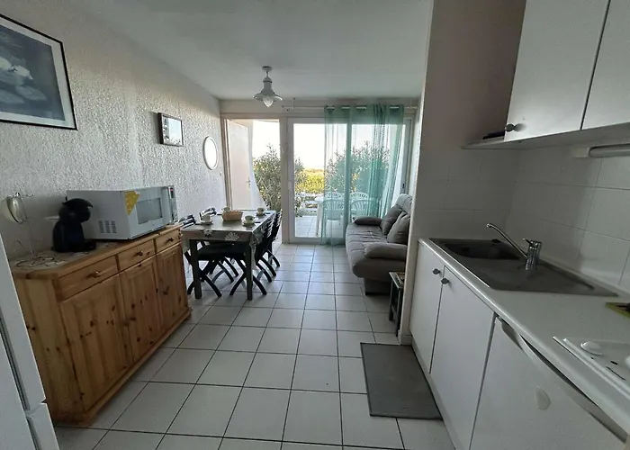 Port Camargue, T2 Climatise, Terrasse, Parking, Animaux Admis - Fr-1-250-219