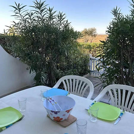 شقة Port Camargue, T2 Climatise, Terrasse, Parking, Animaux Admis - Fr-1-250-219 *
