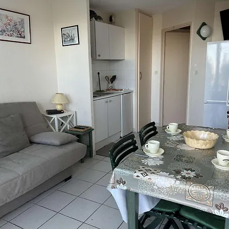 شقة Port Camargue, T2 Climatise, Terrasse, Parking, Animaux Admis - Fr-1-250-219 لو غراو دو روا
