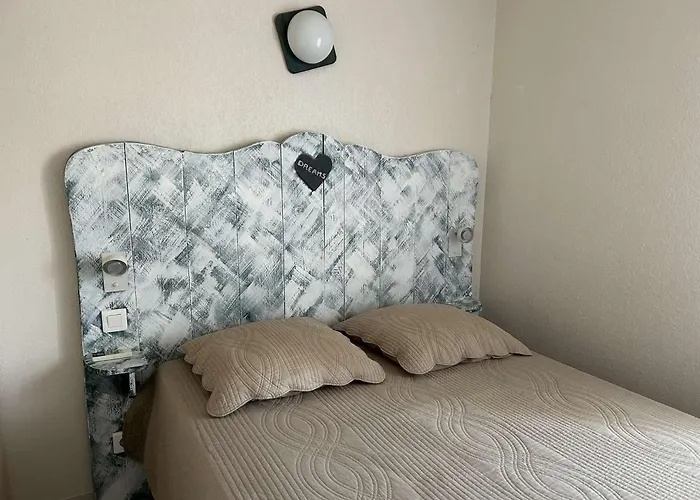 Lejlighed Port Camargue, T2 Climatise, Terrasse, Parking, Animaux Admis - Fr-1-250-219