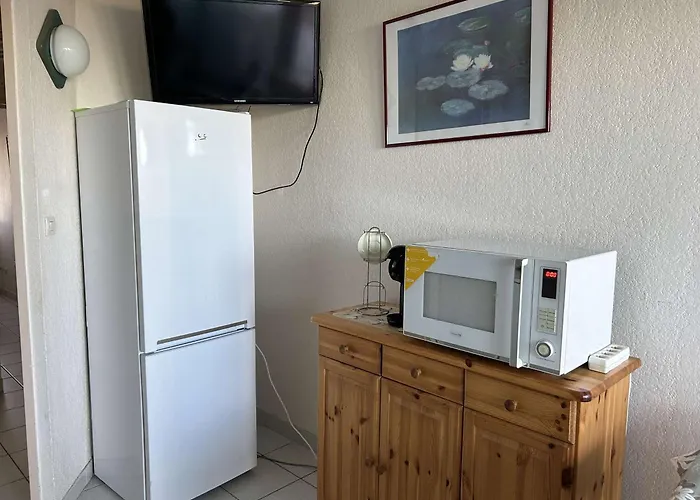 Port Camargue, T2 Climatise, Terrasse, Parking, Animaux Admis - Fr-1-250-219 *