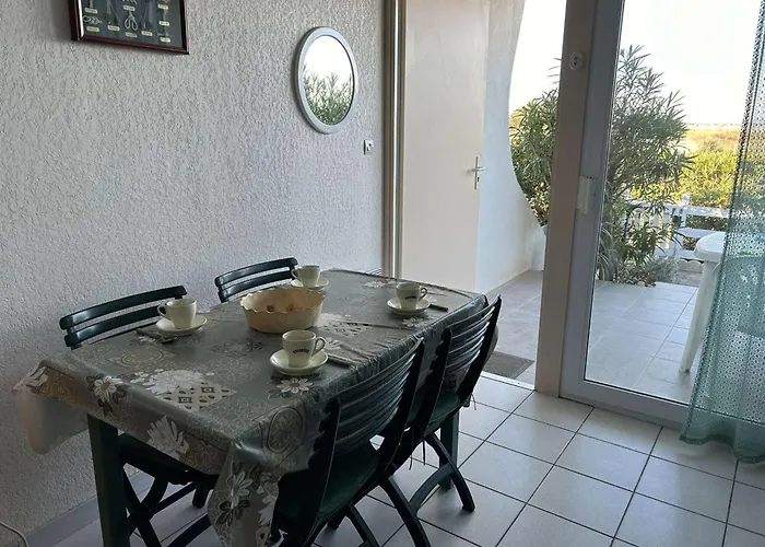 Port Camargue, T2 Climatise, Terrasse, Parking, Animaux Admis - Fr-1-250-219 * Le Grau-du-Roi
