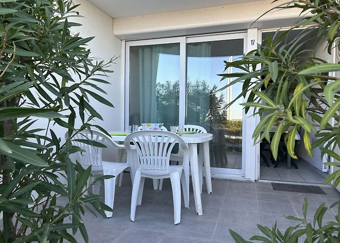 Port Camargue, T2 Climatise, Terrasse, Parking, Animaux Admis - Fr-1-250-219 Lejlighed