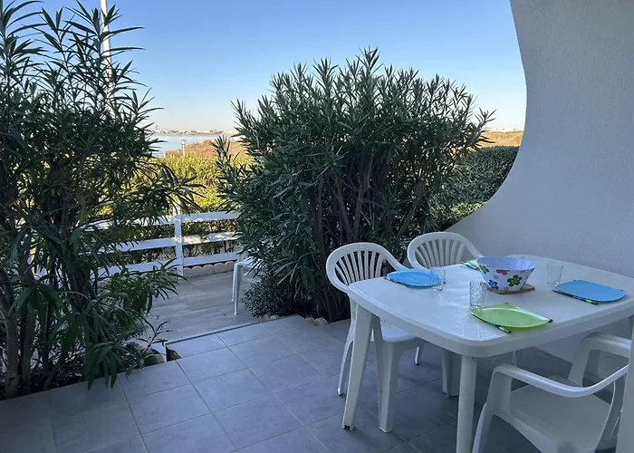 Lejlighed Port Camargue, T2 Climatise, Terrasse, Parking, Animaux Admis - Fr-1-250-219
